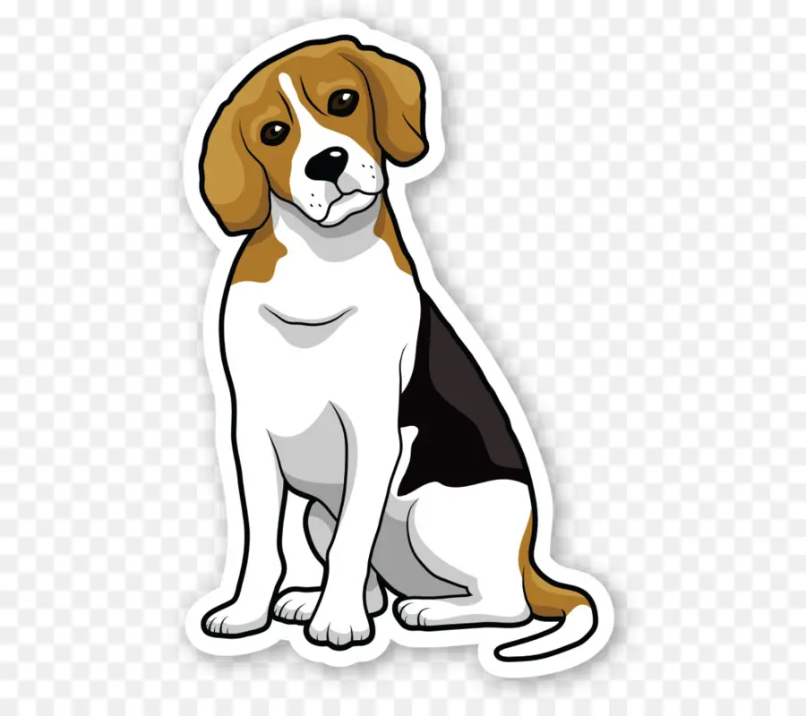 Beagle，Basset Hound PNG