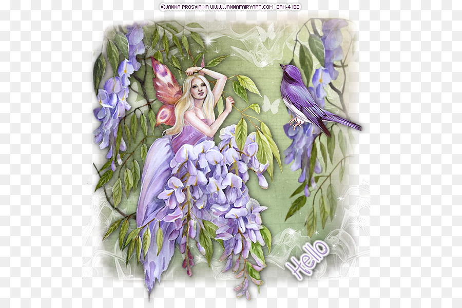 Design Floral，Fada PNG