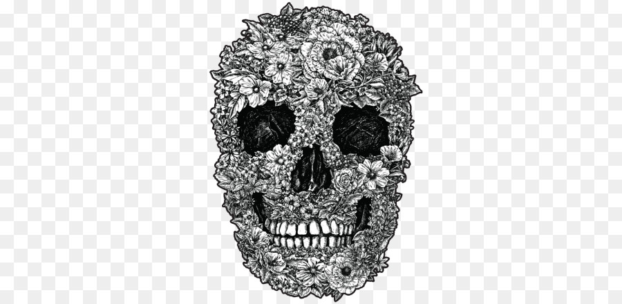 Calavera，Crânio PNG