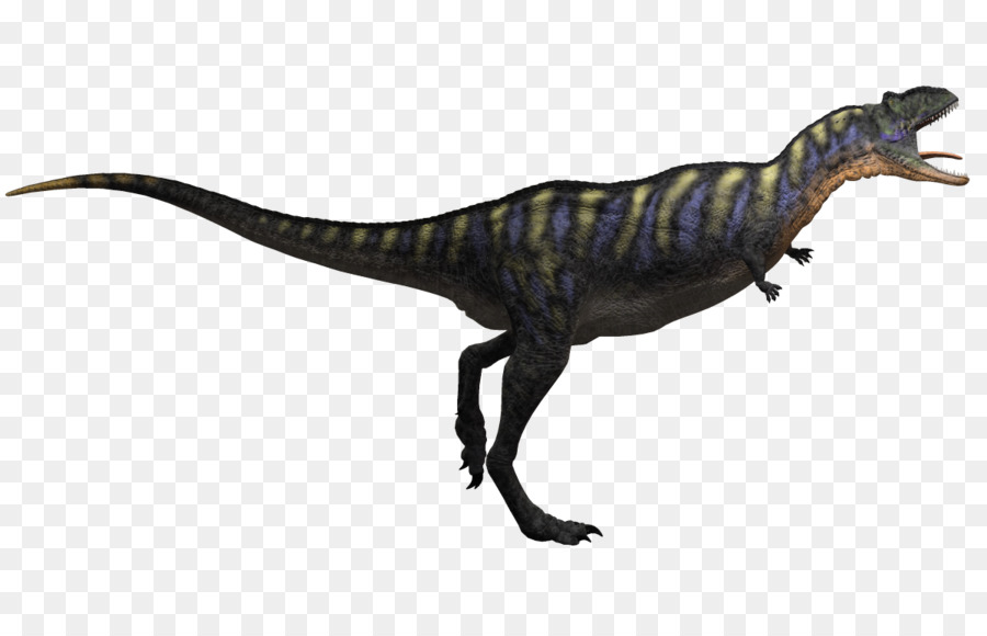 Tiranossauro，Aucasaurus PNG