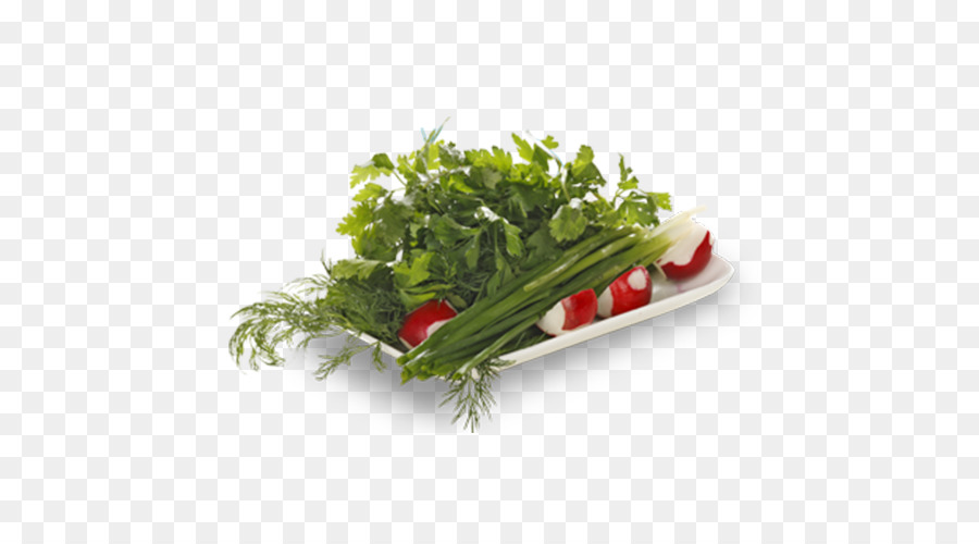 Folha Vegetal，Erva PNG