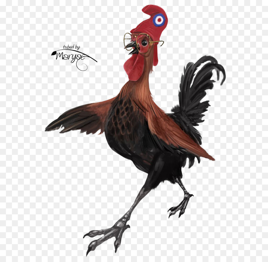 Frango，Galo PNG