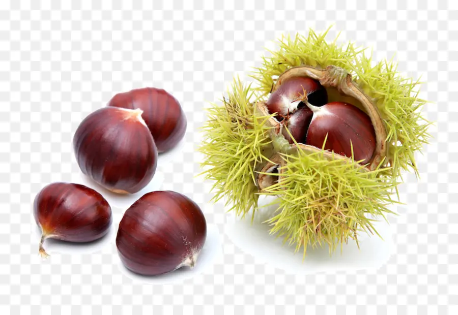 Castanhas，Noz PNG