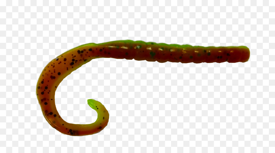 Worm，Plástico Macio Isca PNG