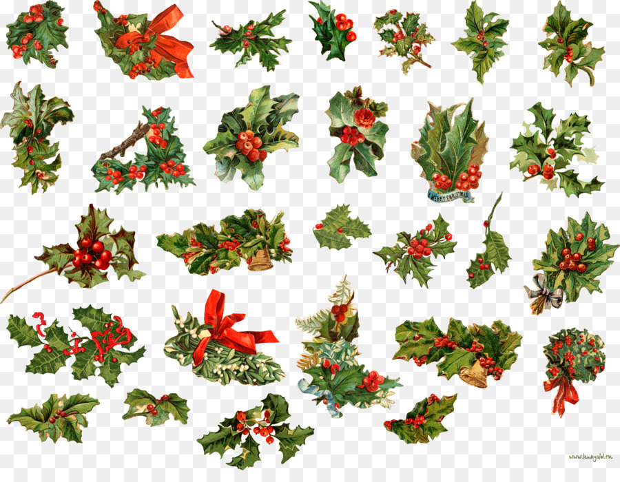 Enfeite De Natal，Berry PNG