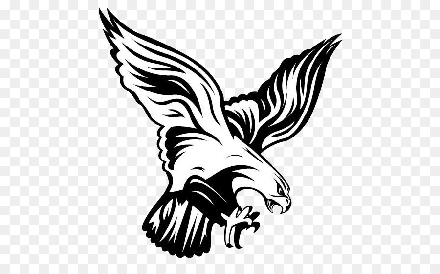 Atlanta Falcons，Flambeau Junior High School PNG