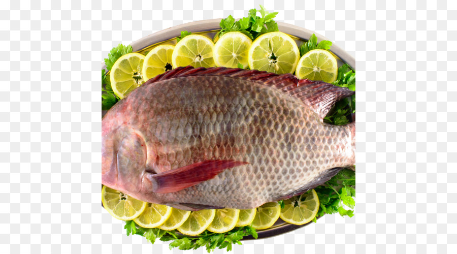 Kipper，Tilápia PNG