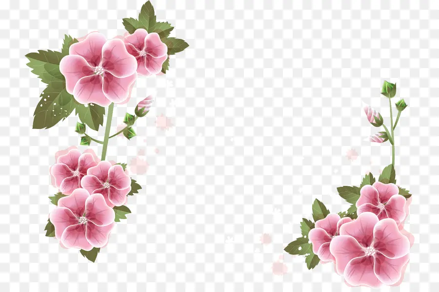 Flores Cor De Rosa，Florescer PNG