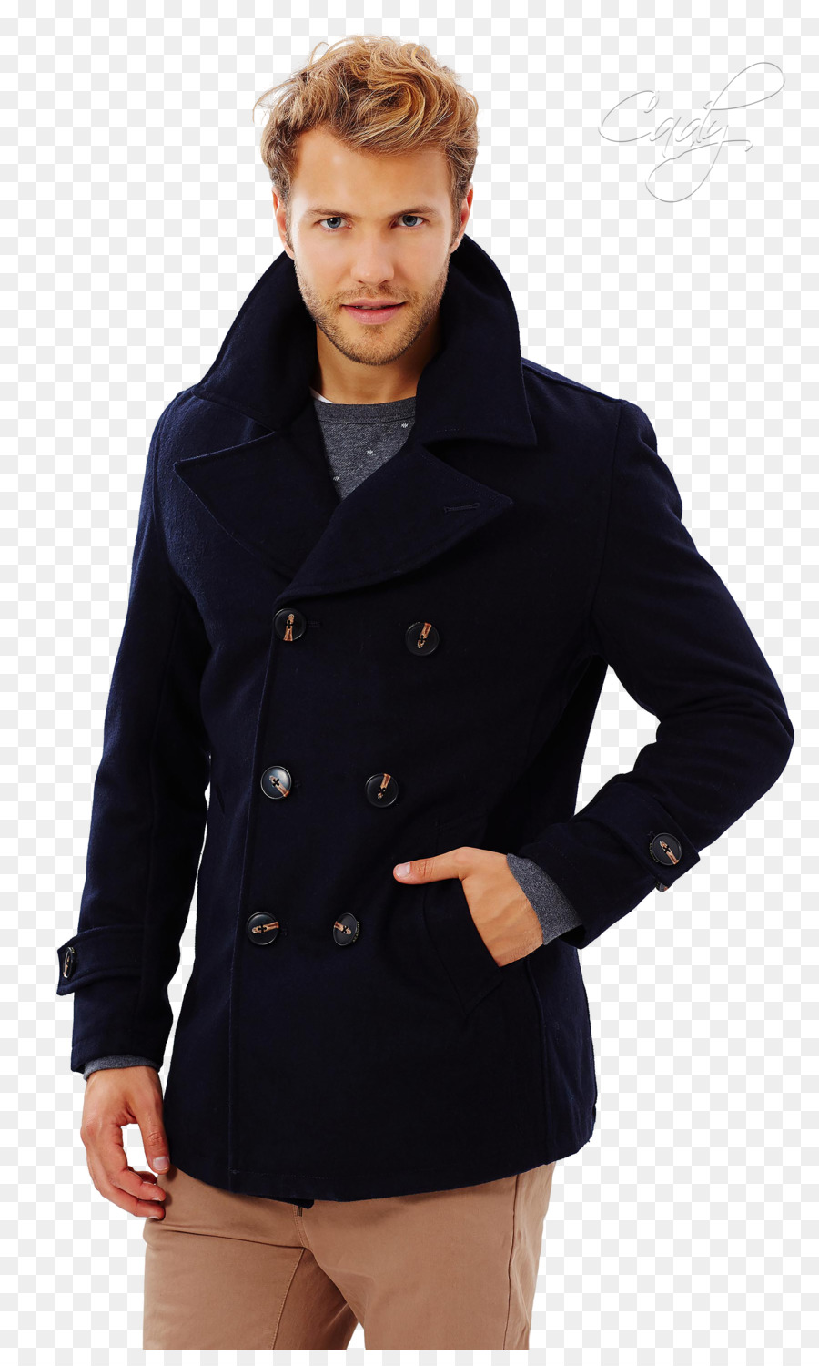 Pea Coat，Brasão PNG