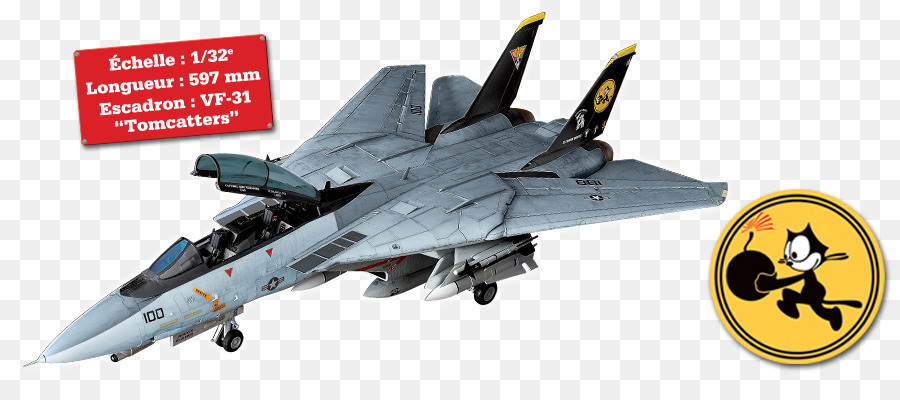 Grumman F14 Tomcat，O Apache Tomcat PNG