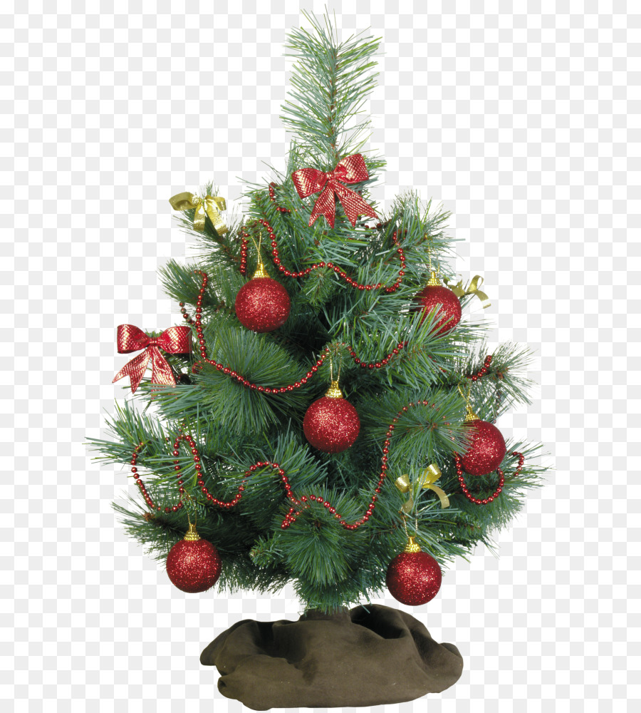 Ano Novo árvore，Natal PNG