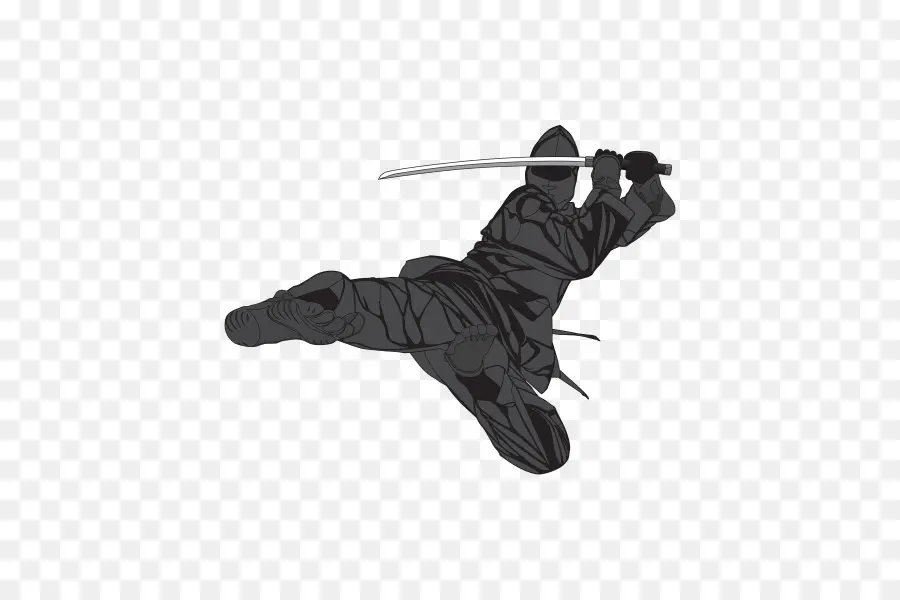 Ninja，Fotografia De Stock PNG