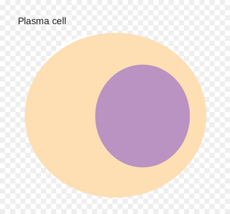 Células Plasmáticas，Plasma De Sangue PNG