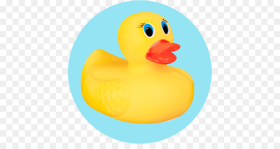 Pato，Bico PNG