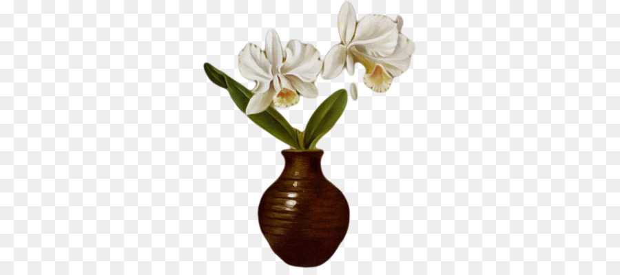 Delicado，Flor PNG