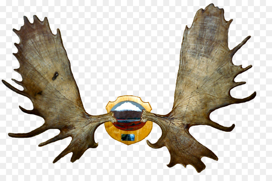 Antler， PNG