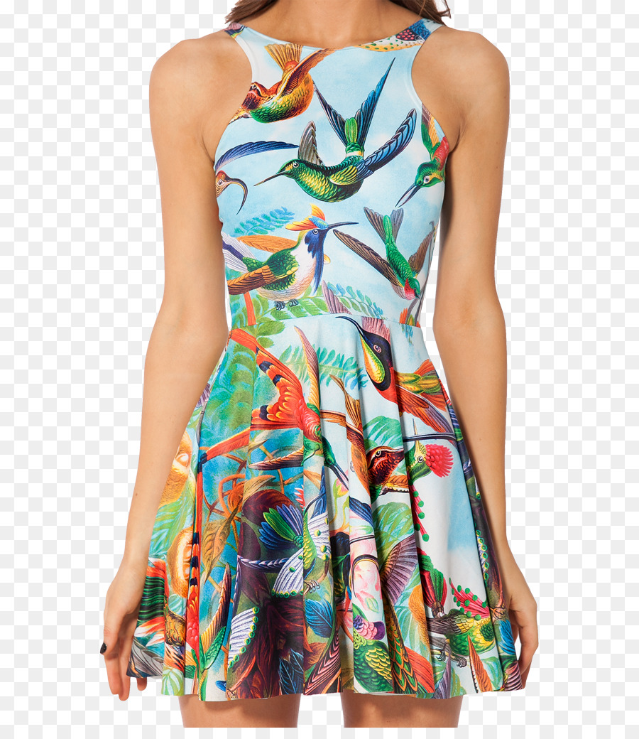 Vestido Pássaro，Vestir PNG