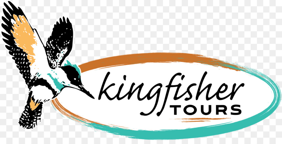 Logo，Kingfisher Passeios PNG