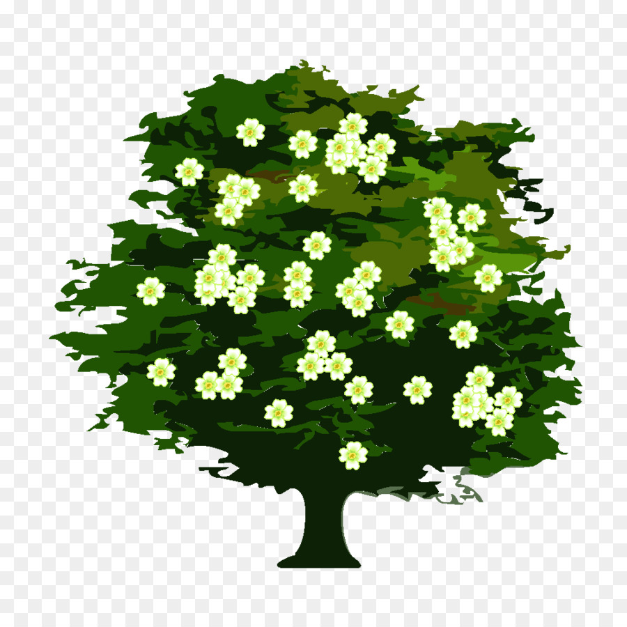 árvore，Usucapião PNG