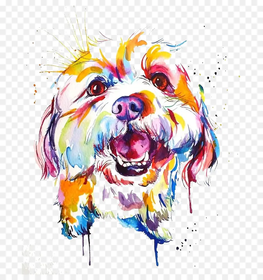 Raça Do Cão，Pintura Em Aquarela PNG