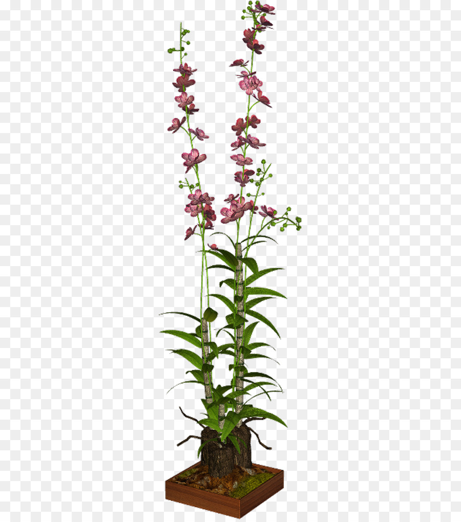 Flowerpot，Flor PNG