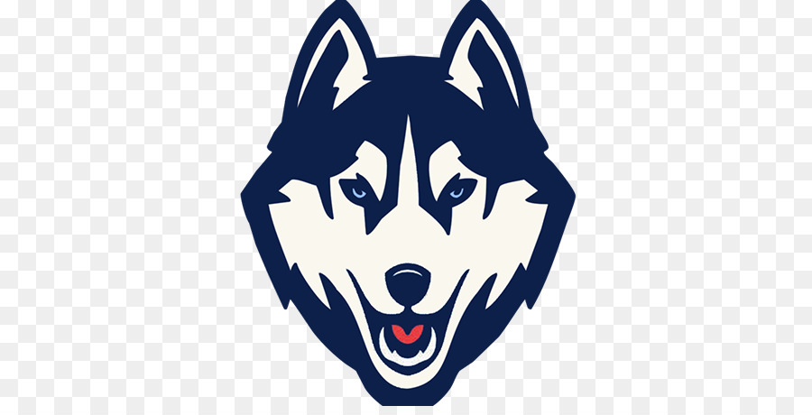 Universidade De Connecticut，Connecticut Huskies Basquete Masculino PNG