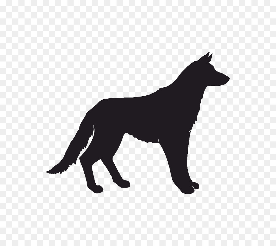 Lobo，Uivando PNG