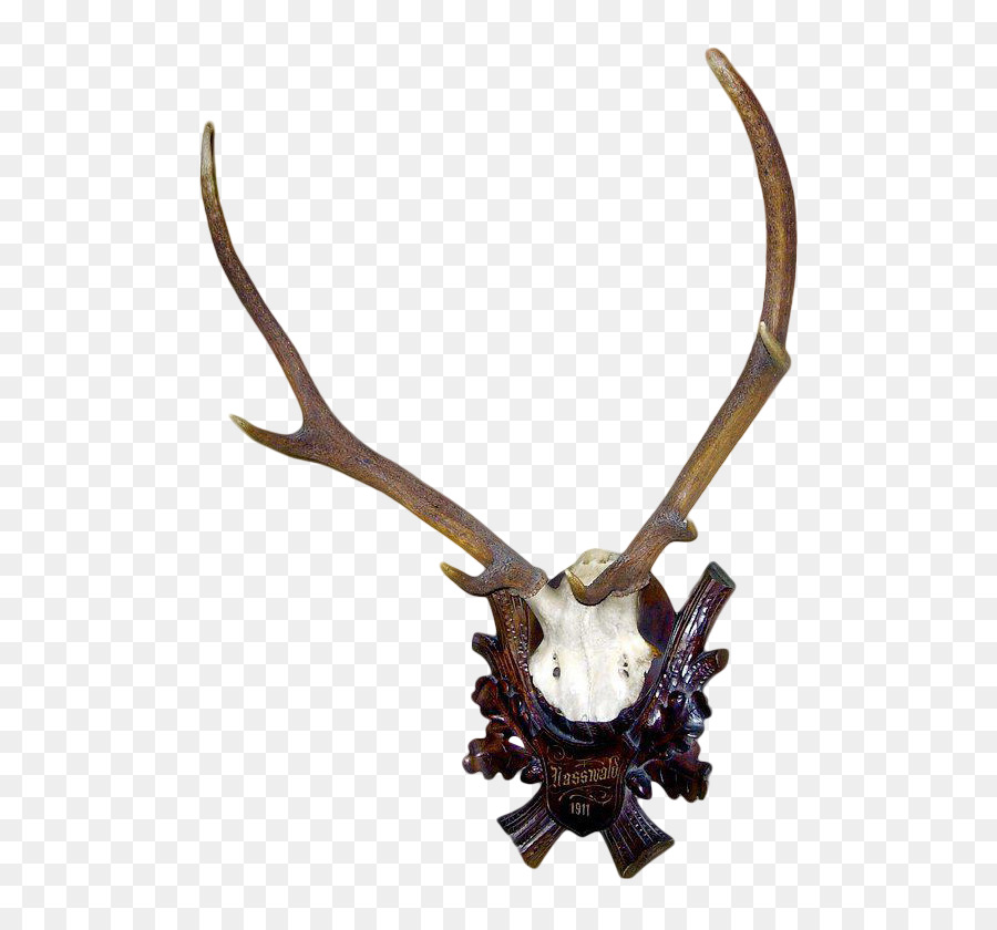 Veado，Antler PNG