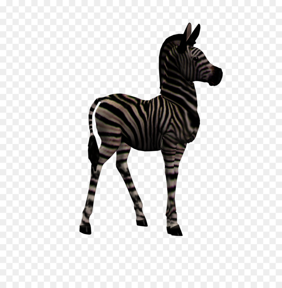 Quagga，Potro PNG