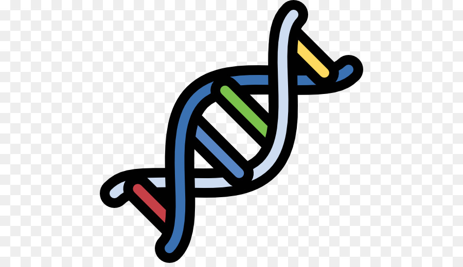 Hélice De Dna，Genética PNG