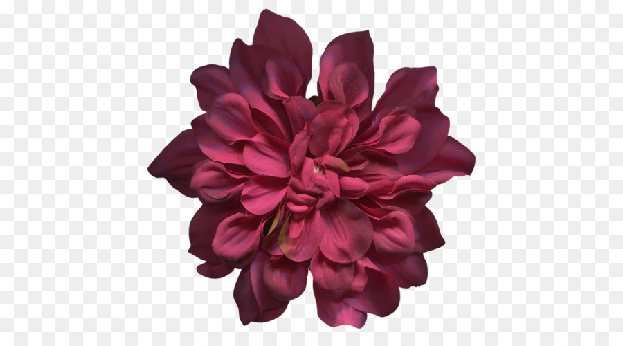 Flor Roxa，Florescer PNG