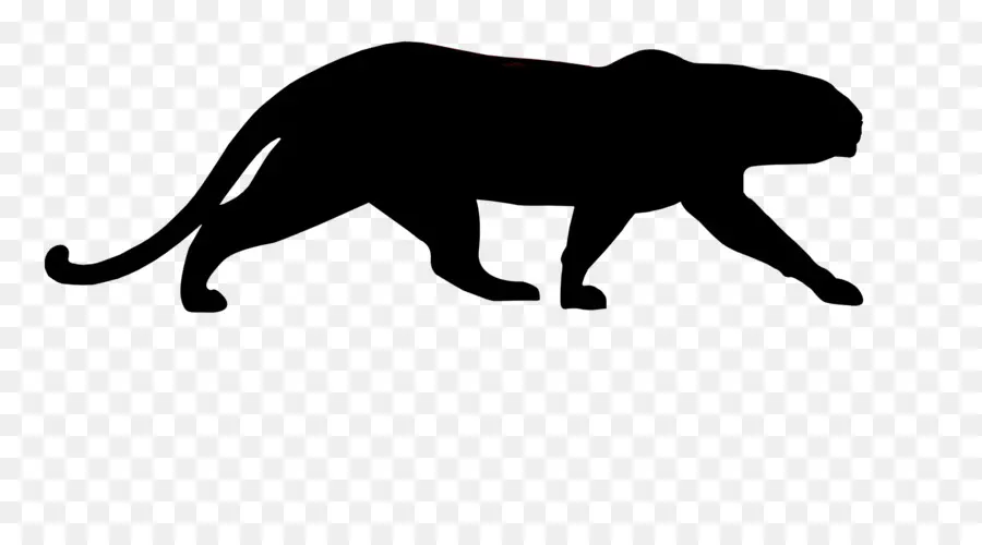 Panther，Inselbad PNG