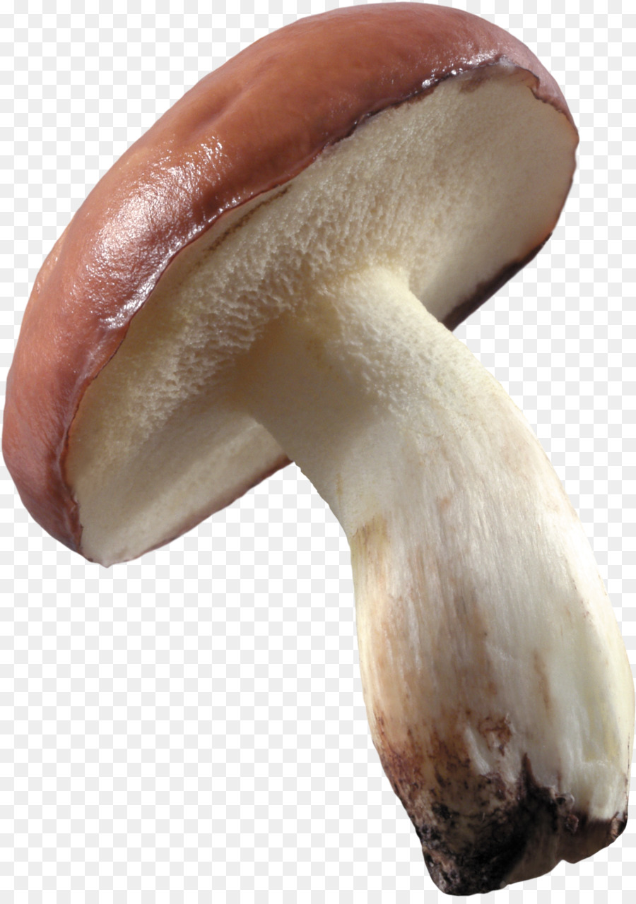 Cogumelo，Alimentos PNG