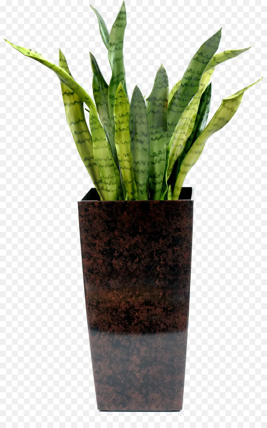 Flowerpot，Deserto De Jardinagem PNG