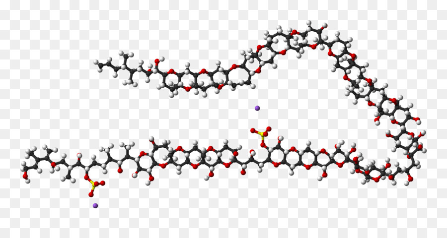 Maitotoxin，Spacefilling Modelo PNG