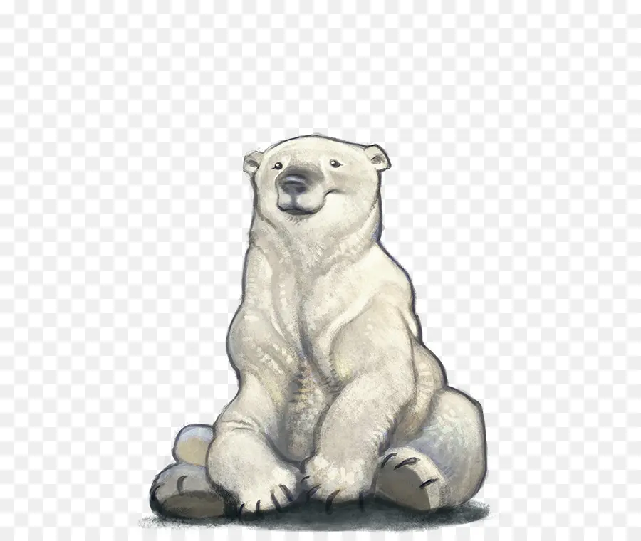 Urso Polar，Segredo Zoo PNG