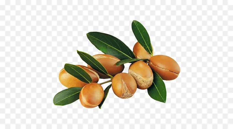 óleo De Argan，A Cozinha Marroquina PNG