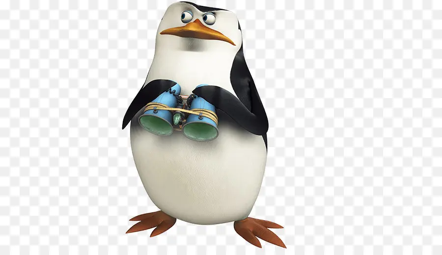 Pinguim，Binóculos PNG