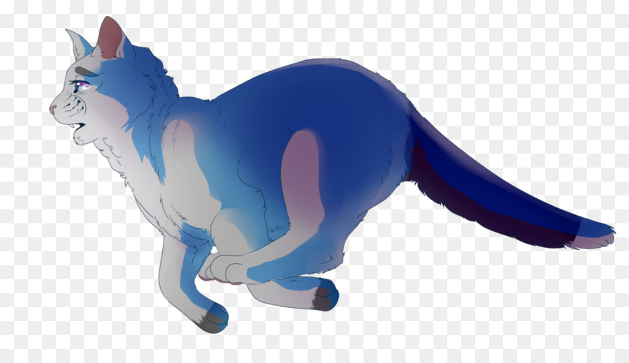 Gato，Mistystar PNG