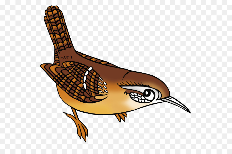 Wren，Carolina Do Sul PNG