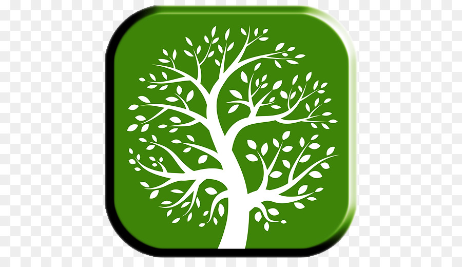 árvore Genealógica，Genealogia PNG