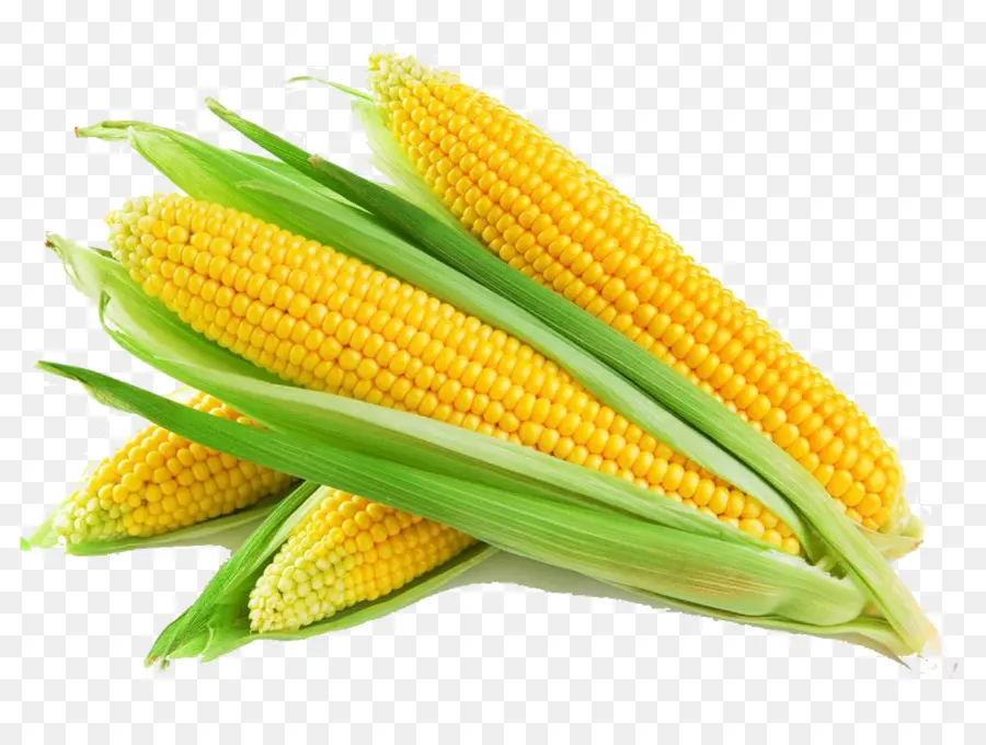 Maize，De Cereais PNG