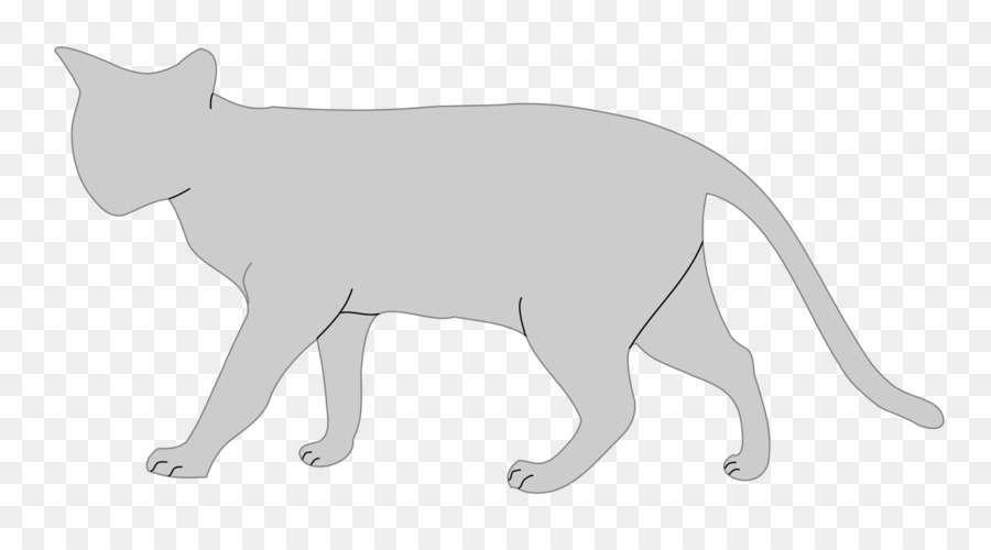 Gato Persa，Gato Anatomia PNG