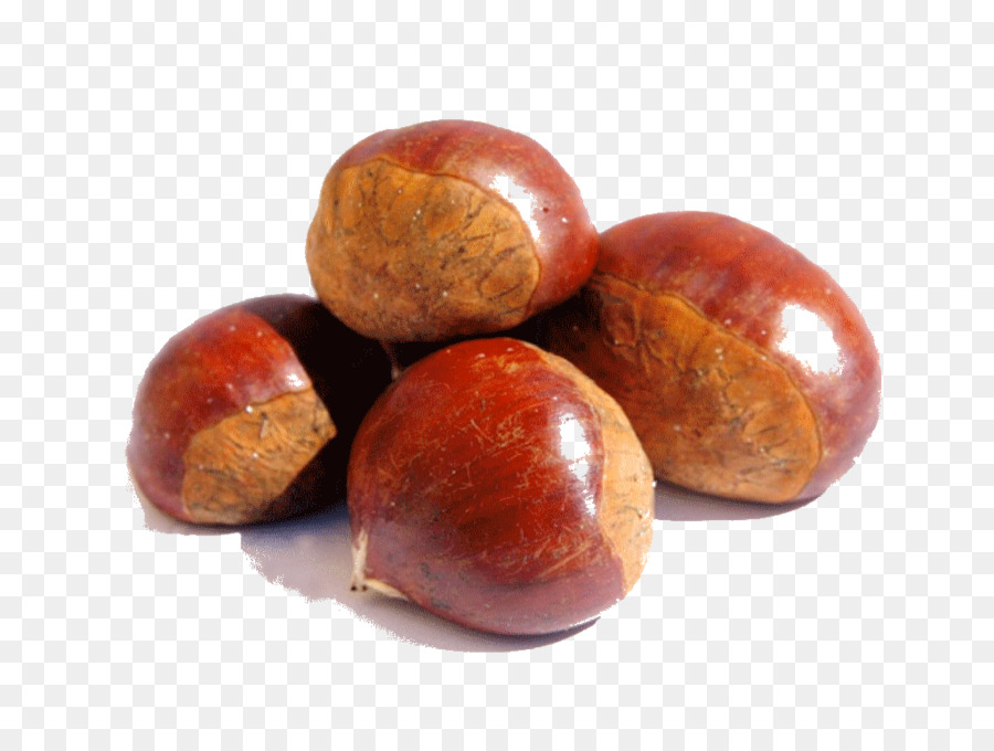 Castanhas，Noz PNG