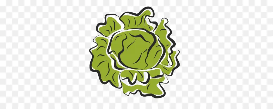 Vegetal，Salada PNG