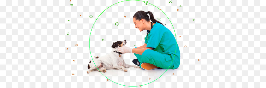 Veterinário Com Cachorro，Veterinário PNG