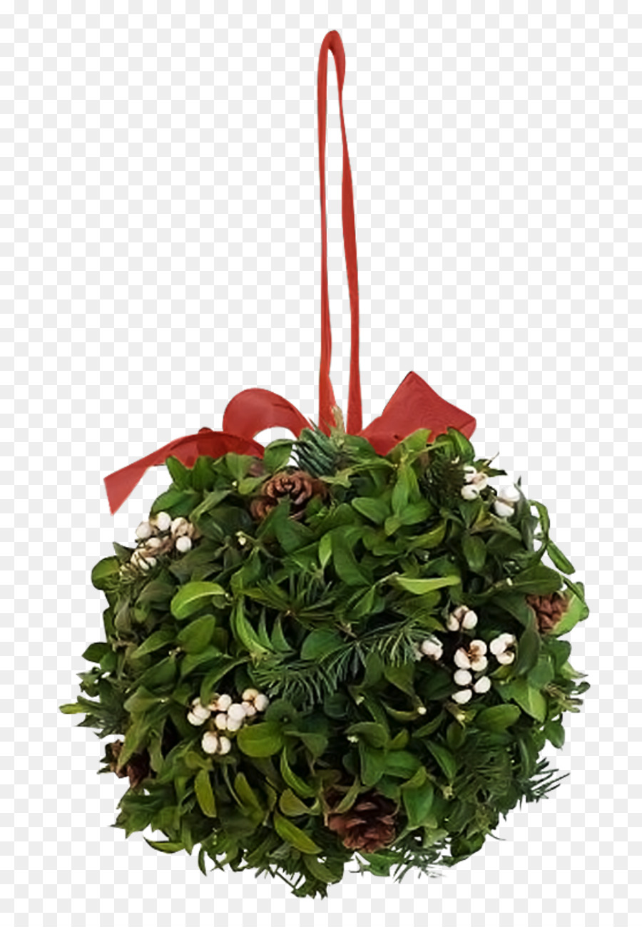 Design Floral，Computação Gráfica 3d PNG