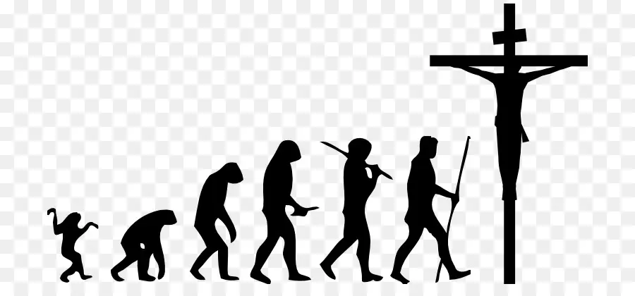 Evolução，Humano PNG