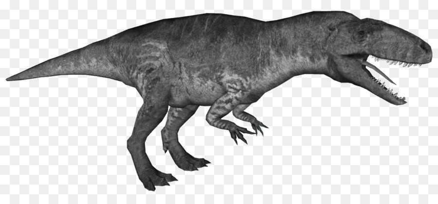 Velociraptor，Garra PNG