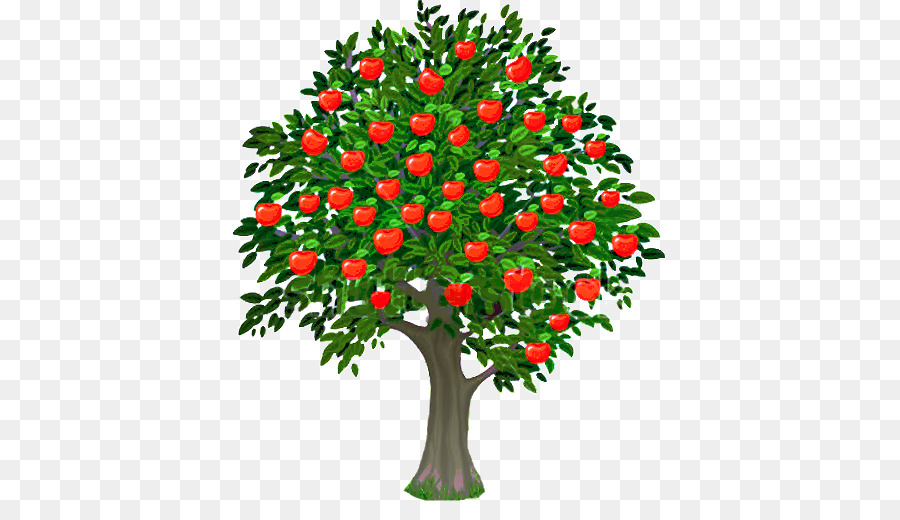 Macieira，Fruta PNG